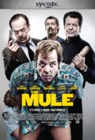 Kurye izle